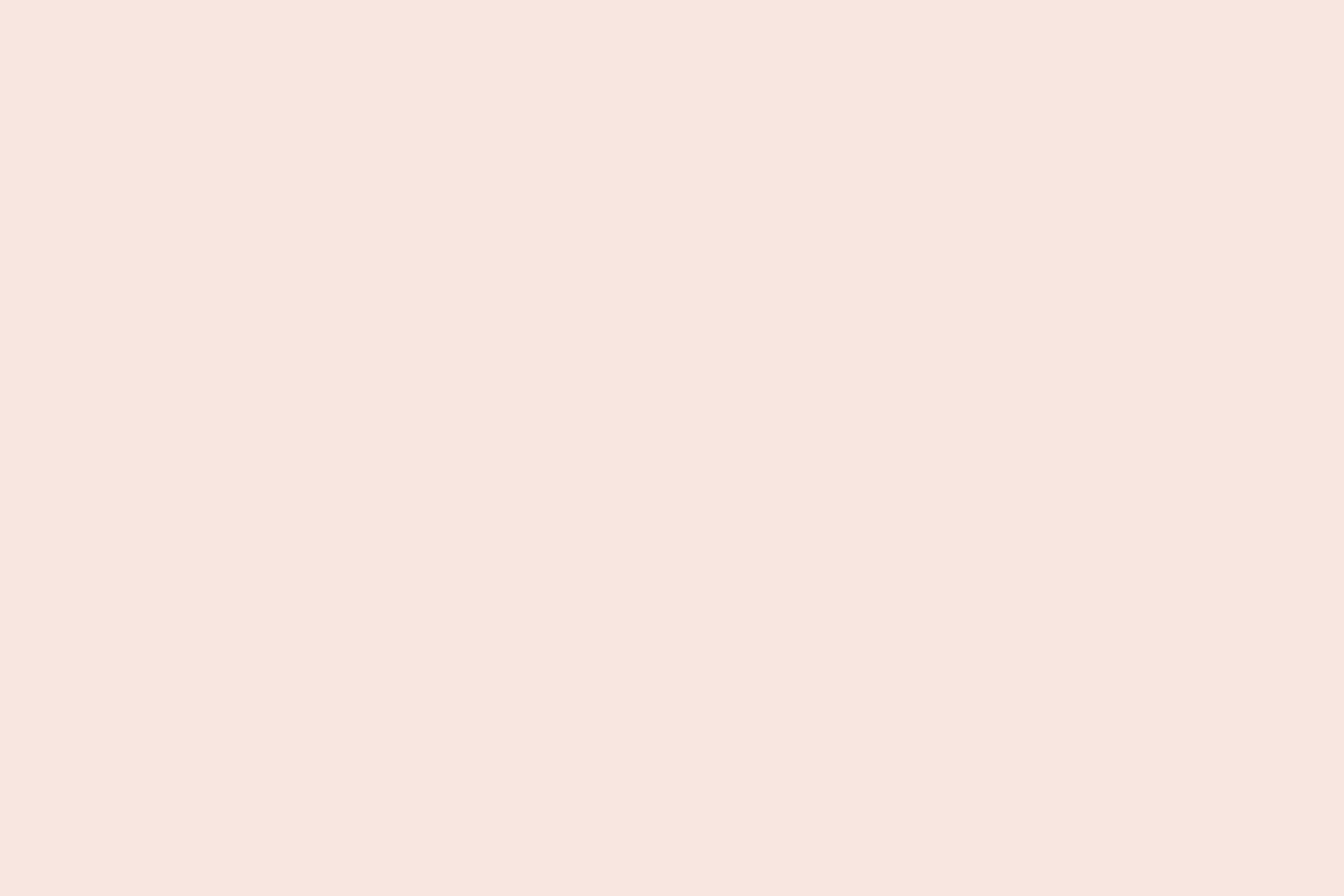 Rectangle Pink rev