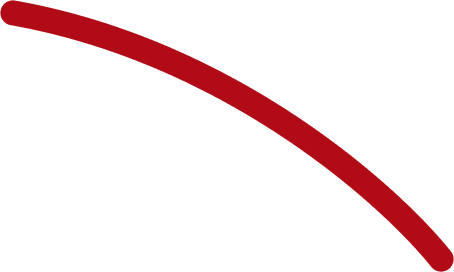 Vector