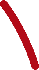 Vector