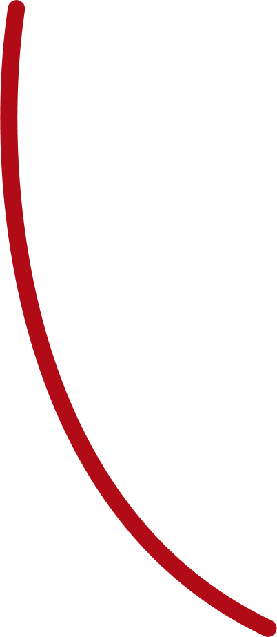 Vector