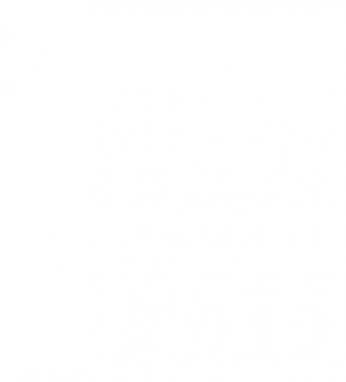 Rectangle white